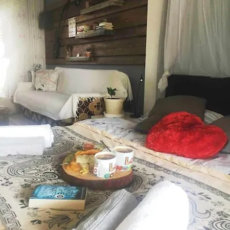 The Mermaid's Apartment